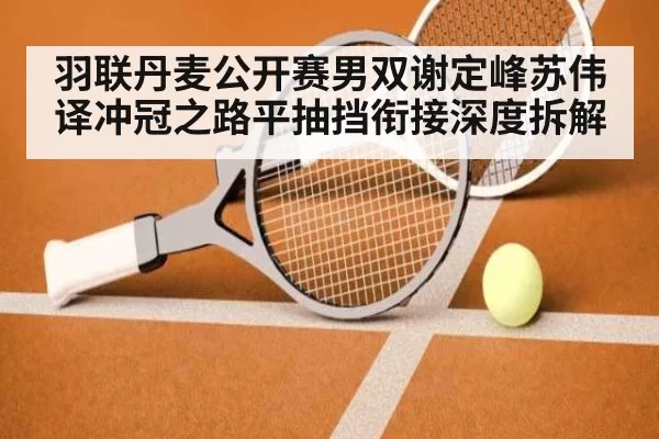 羽联丹麦公开赛男双谢定峰苏伟译冲冠之路平抽挡衔接深度拆解